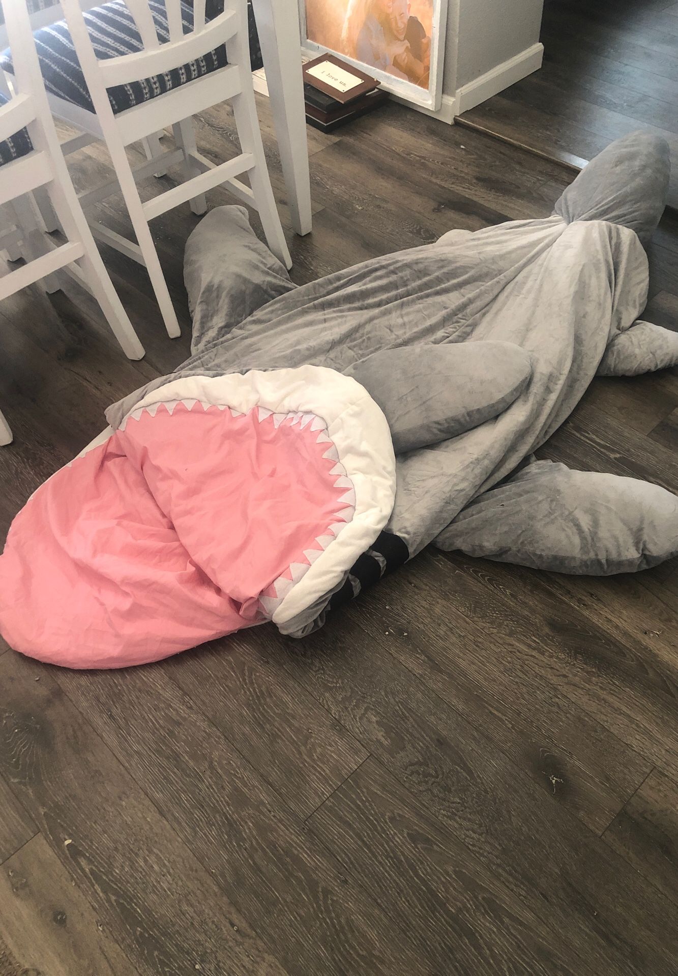 Cute Shark Sleeping Bag, basically brand new