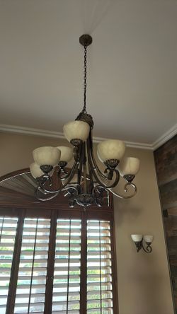 8 Light Chandelier 