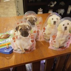 Chocolate Lot With Nerf Game 10 