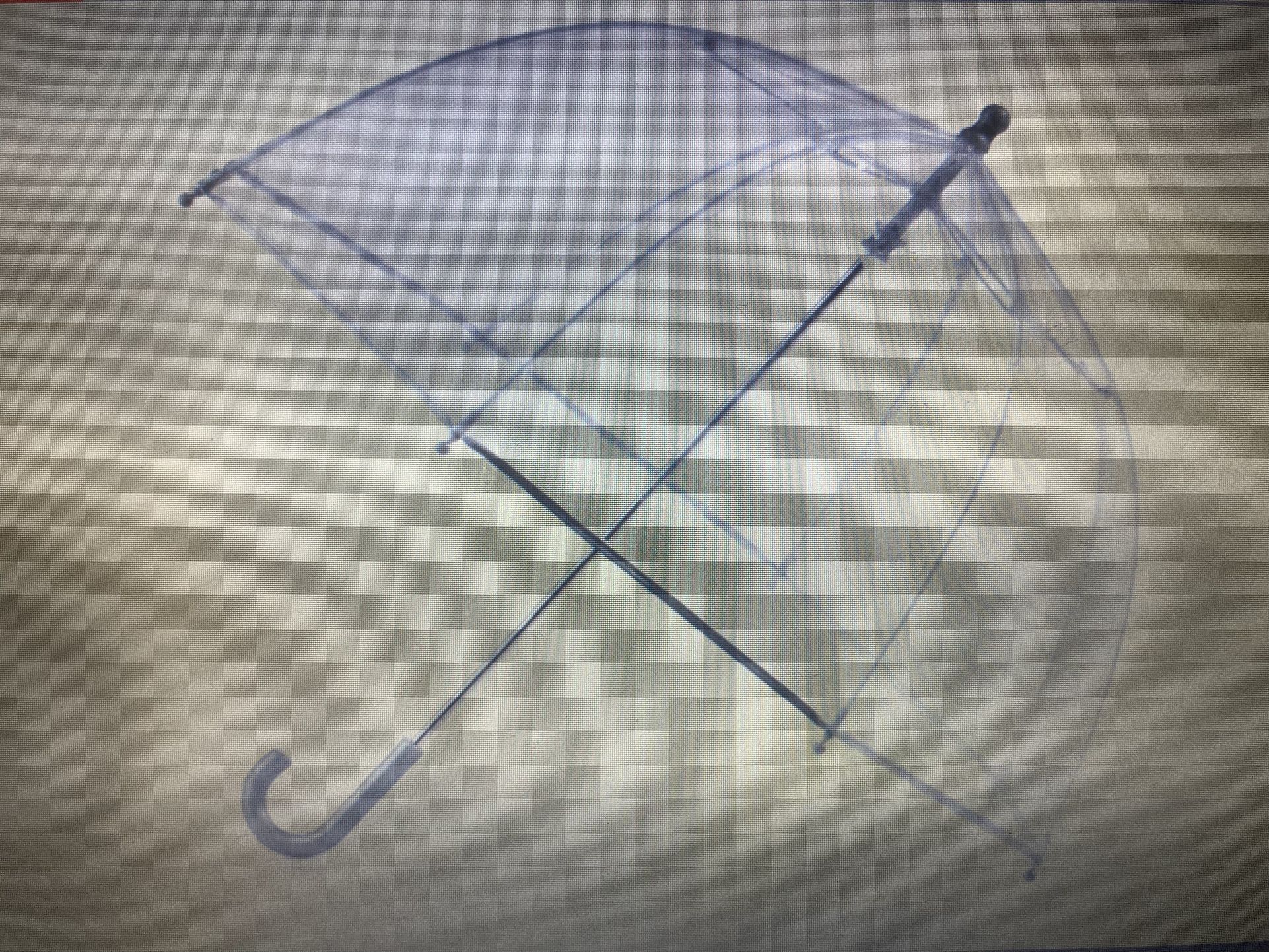 BUBBLE UMBRELLA WITH DOME CANOPY (CLEAR) ☂️