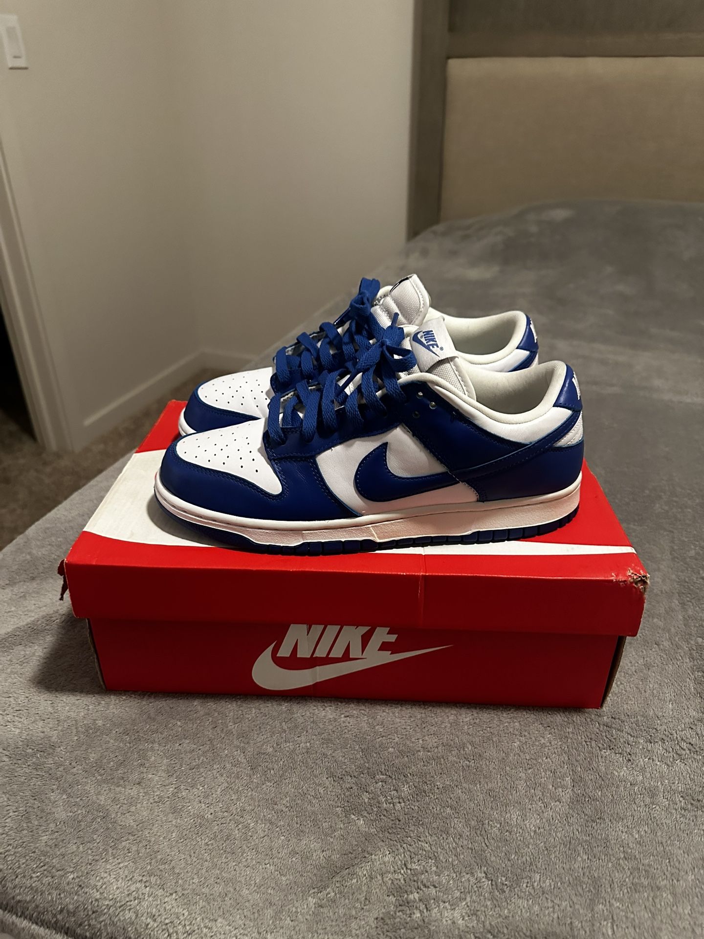 Kentucky Blue SP Dunks Size