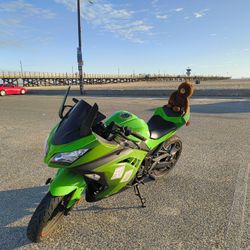 2015 Kawasaki Ninja 300 ABS