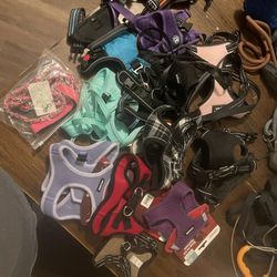 Harnesses And Leashes