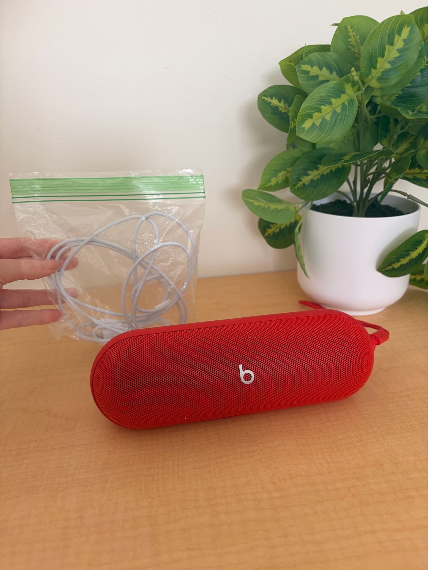 Beats Speaker with Charger