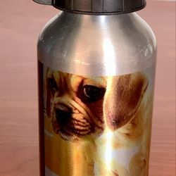 Stainless Drinks Bottle