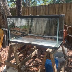 90 Gallon Aquarium