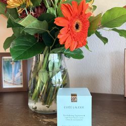 Estee Lauder Night Cream 