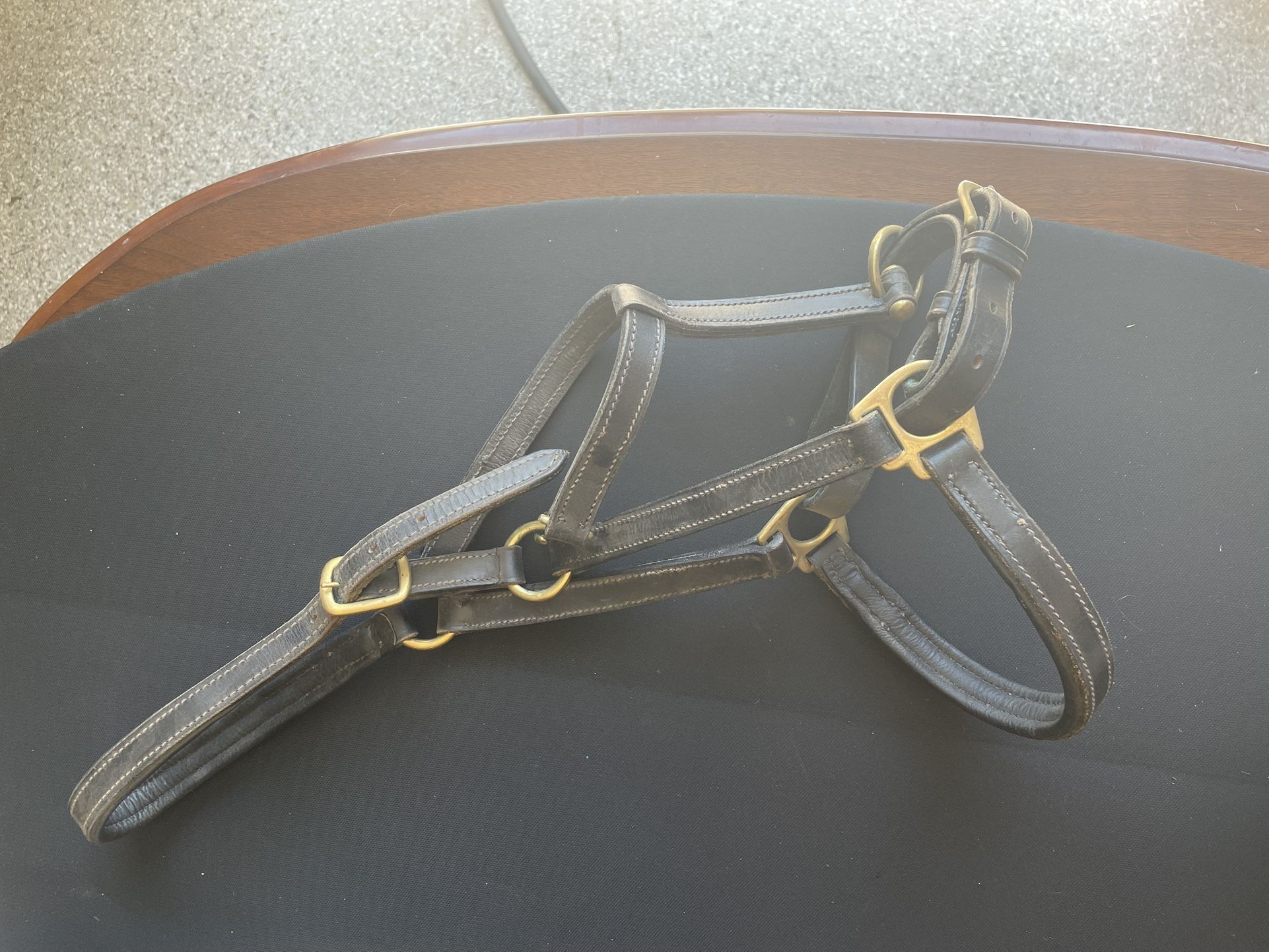 Black Leather Horse Halter