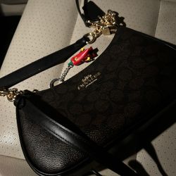 Coach Teri Should Bag 
