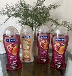 SOFTSOAP BODY WASH 