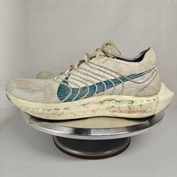 Size 10 US Men's Nike Pegasus Turbo Next Nature