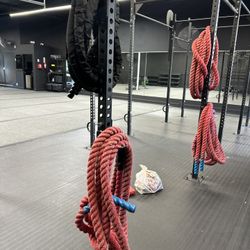 Gym Equipment 