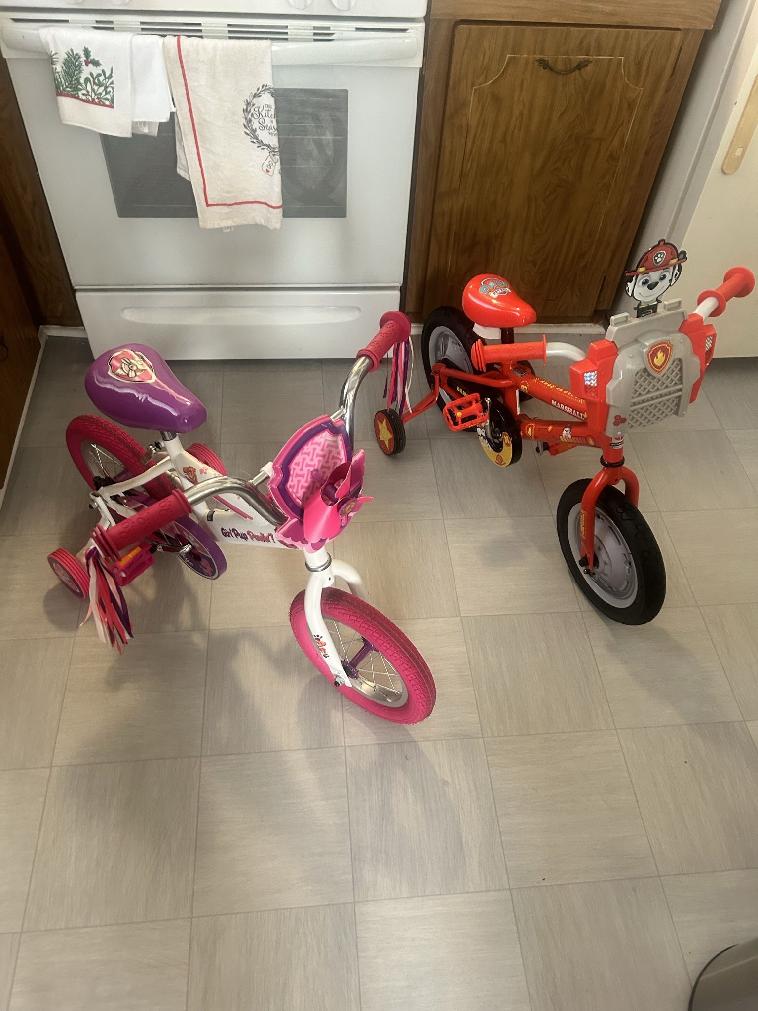 Paw Patrol Bikes (Skye) (Marshall)