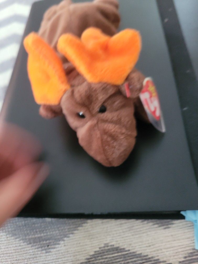 Chocolate The Moose Sealed Tag 