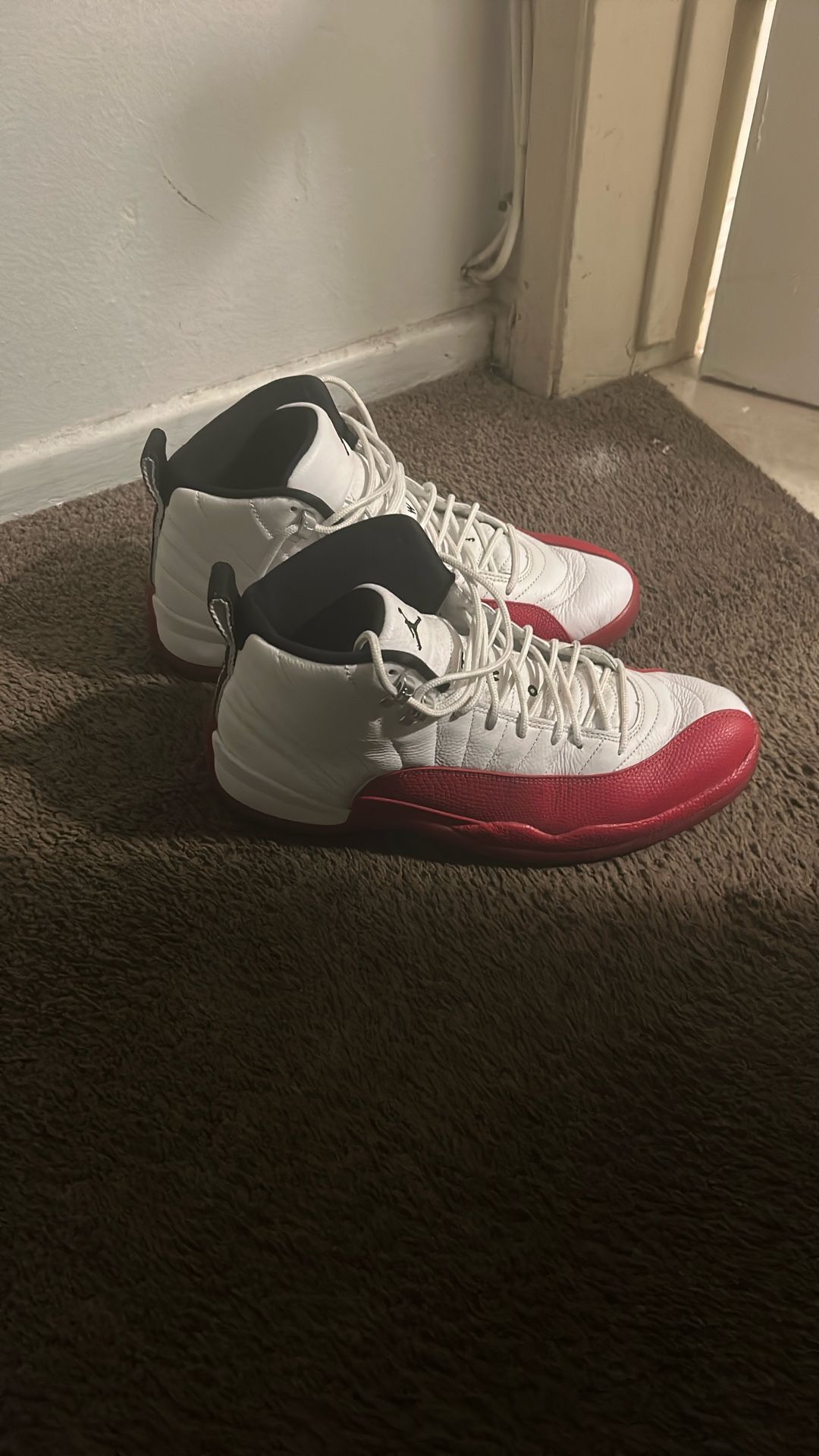 Jordan 12 Cherry 125 Boo