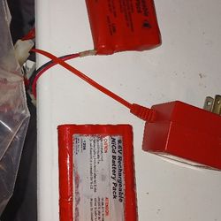 2 Rechargeable 9 Volt Battery With Charger