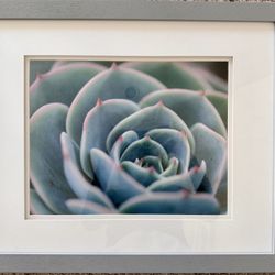 Modern Wall Art ( 3 piece)