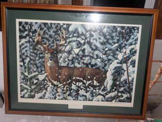 Sounds Of Silence By Stephen .P.  Hamrick