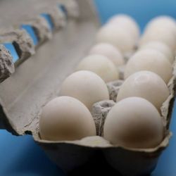 Free Range Duck Eggs