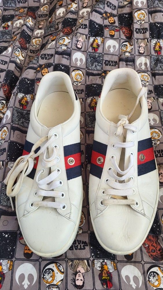 Gucci tenis size 10
