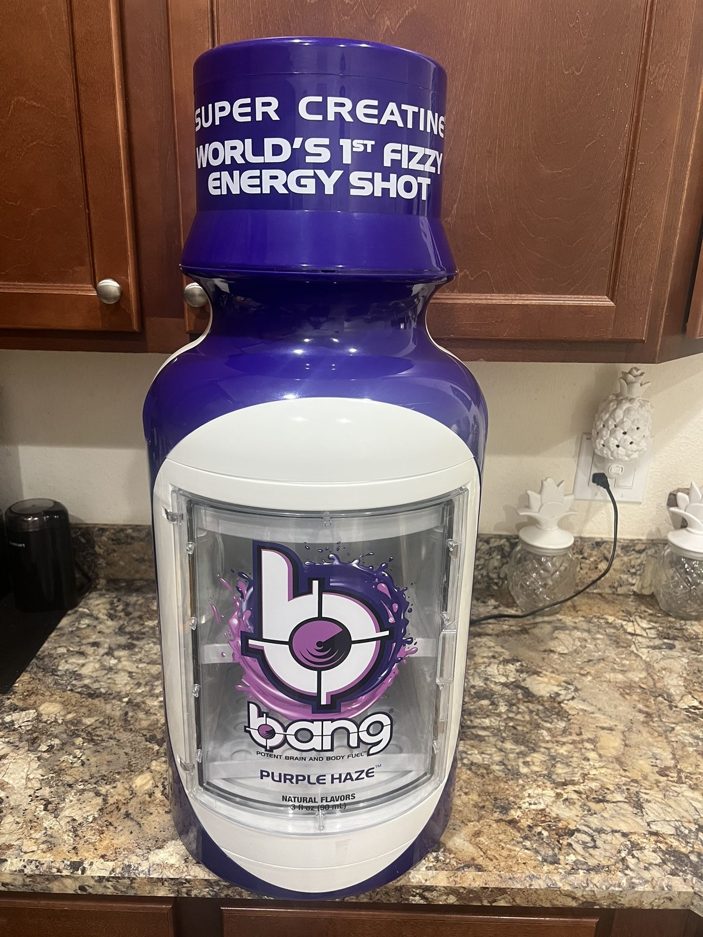 Bang Shots Bottle Shaped Mini Cooler