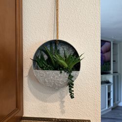 Wall Art Faux Succulents