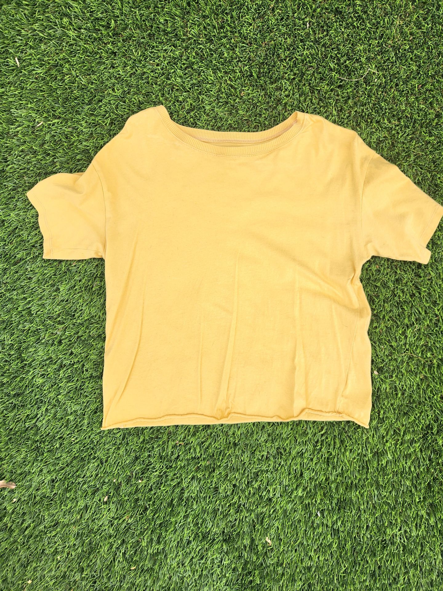 American Eagle Cropped Tee
