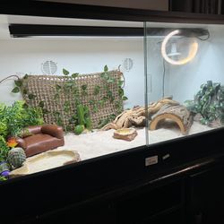Reptile Cage And Full Set Up