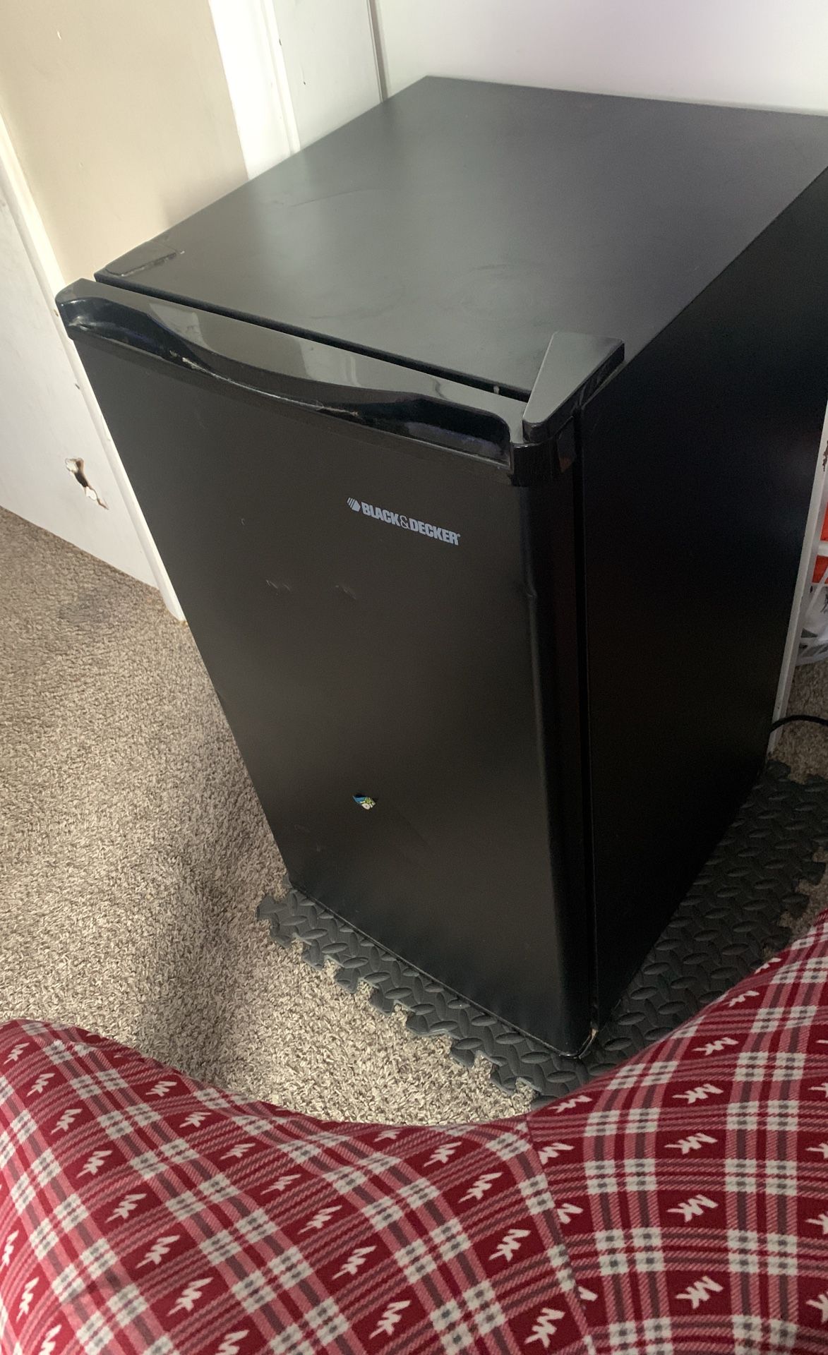 Mini Fridge