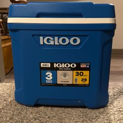30 Quarts Igloo Cooler