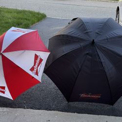Umbrellas New - Four  Budweiser Umbrellas - New 2 Lg Golf and 2 Regular  Great for Giveaways