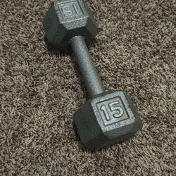 15 Pound Dumbbell - Single