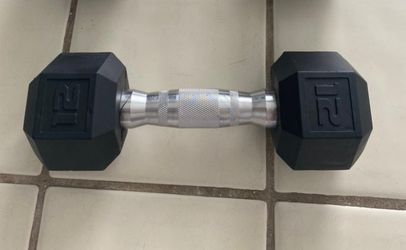 Dumbbell Weights 12 Pounds