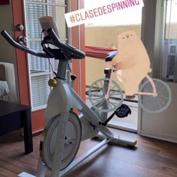 HONRISE Indoor Exercise Bike /stationary Bike 
