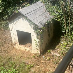 Dog house