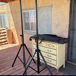 Ultimate Support Bag And Speaker Stands