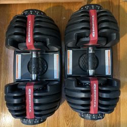 Bowflex dumbbells 
