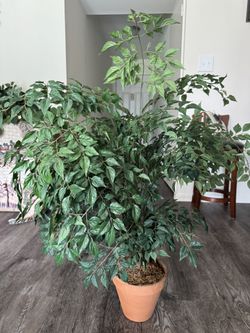 Artificial Tree