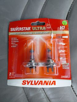 H7 Headlight