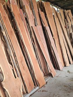 Cedr Slabs