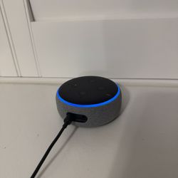 Amazon Alexa/Echo