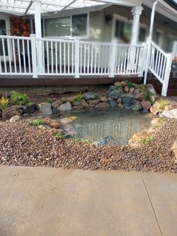 Koi Pond 