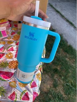 Stanley tumblr blue