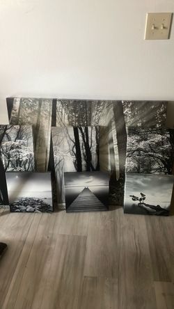 7 CANVASES - Set of black and white nature
