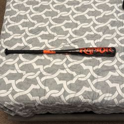 Raptor youth baseball bat