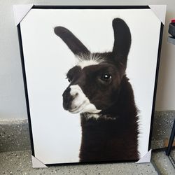 Both Painting 