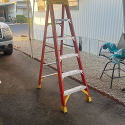 Werner Ladder 