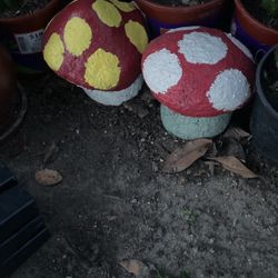 Mushrooms