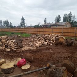 Chords Of Wood For Sale $300 Seasoned Oak I Just