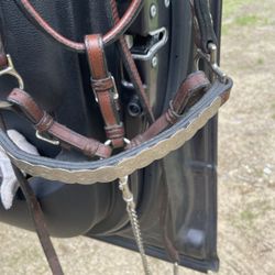 Show halter   Silver